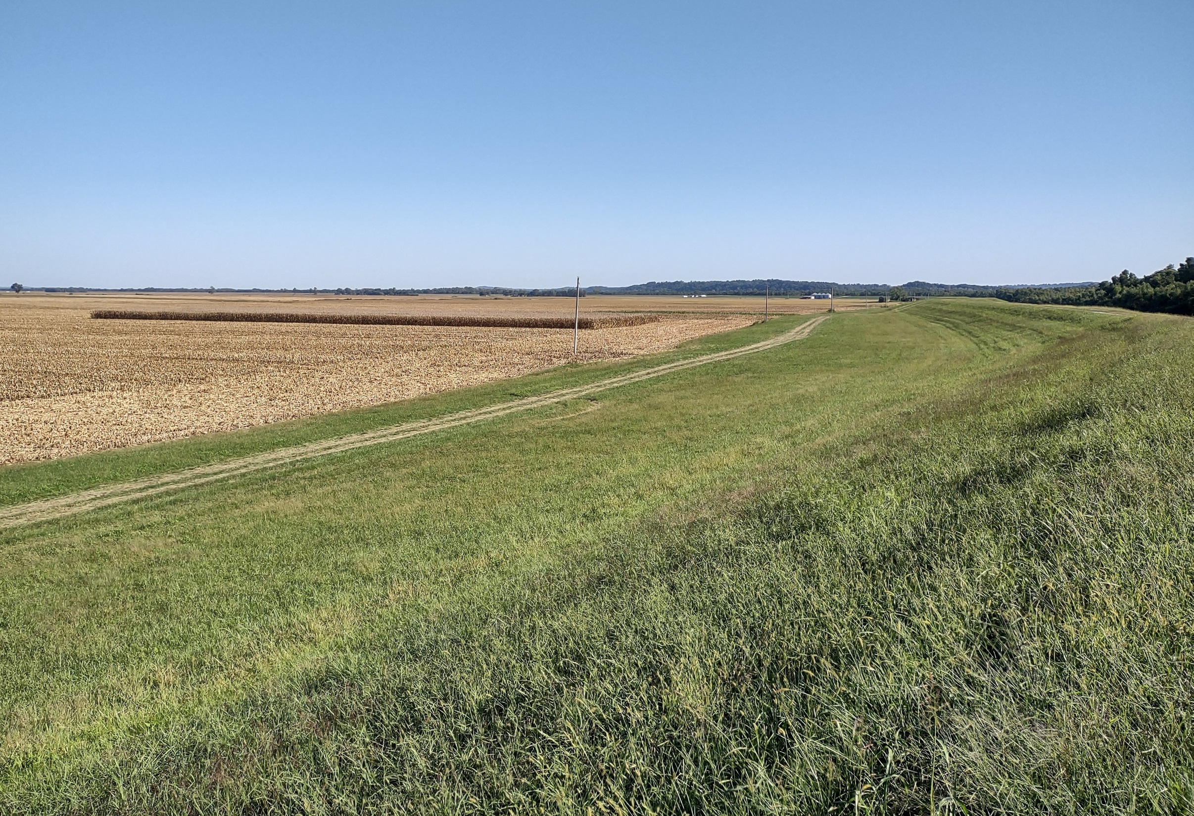 Photograph of levee and partially harvested cornfield, Kaskaskia Island, Illinois.