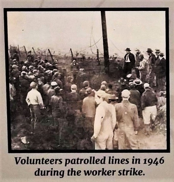 Photograph of an image from Old School Museum's companion exhibition showing volunteers protecting electrical lines from sabatoge.