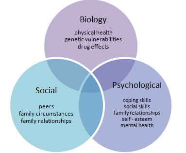 Infographic of the biopsychosocial model of health showing how social, biological and psychological factors can impact individual and drug use.
