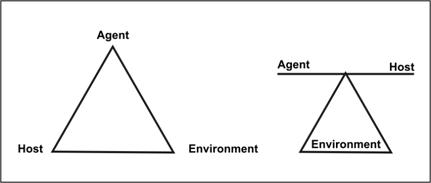 These two images show the three components of the epidemiologic triangle; the agent, environment and host.