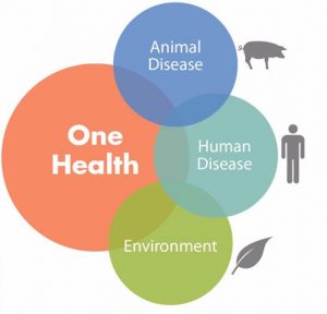 A four-part Venn diagram. The largest circle reads "One health." Three other circles attached read "Animal disease," "Human Disease," and "Environment."